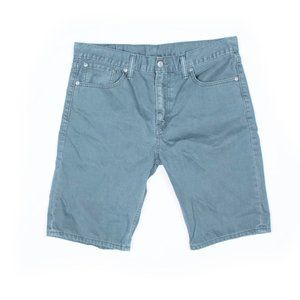 Levi's Size 33 Green Men's Shorts